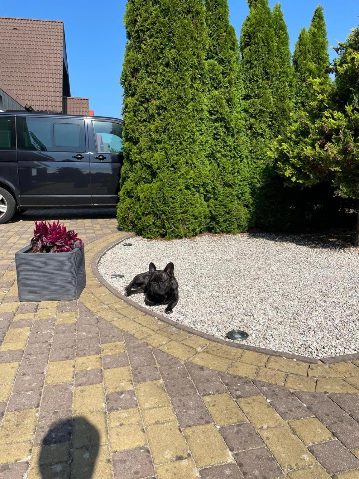 Dom Wakacyjny Przy Szlakach Turystycznych Jastrowie Exterior foto